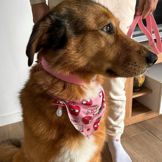 Collier imperméable pour chien à motif pastèque sucrée