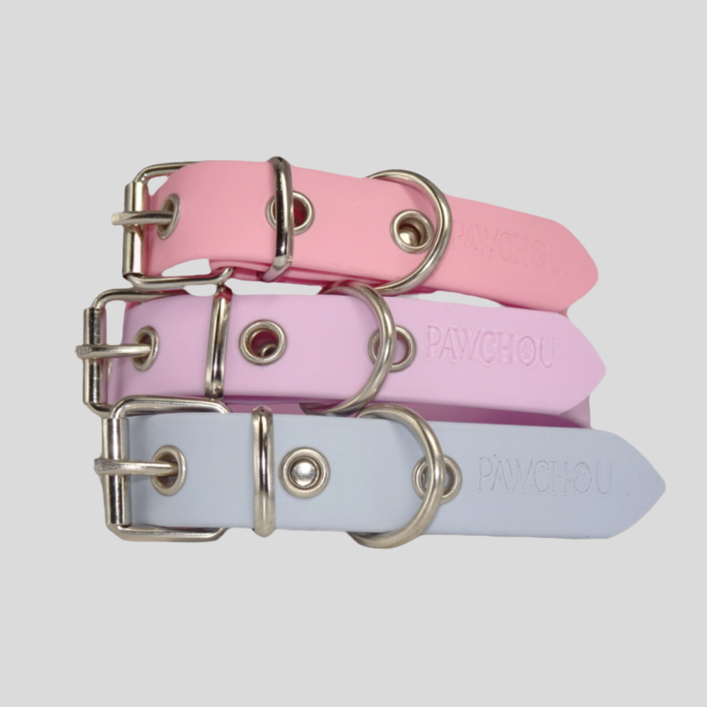 Collier imperméable Blue Breeze pour chien