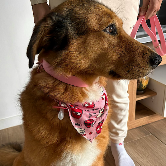 Ensemble collier et laisse imperméables Sweet Watermelon