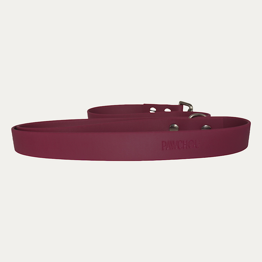 Laisse Cranberry