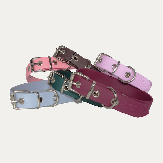 Ensemble Collier et Laisse Cranberry