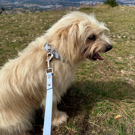 Ensemble collier et laisse imperméables Blue Breeze