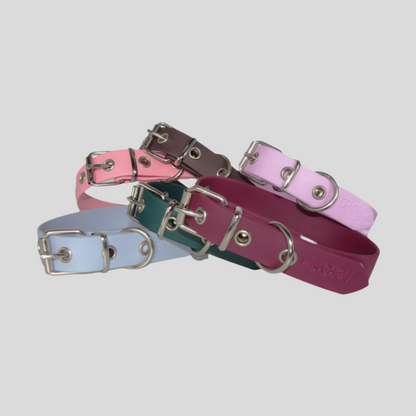 Collier imperméable pour chien Cranberry Crush