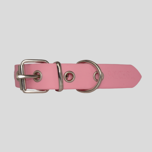Collier imperméable pour chien à motif pastèque sucrée