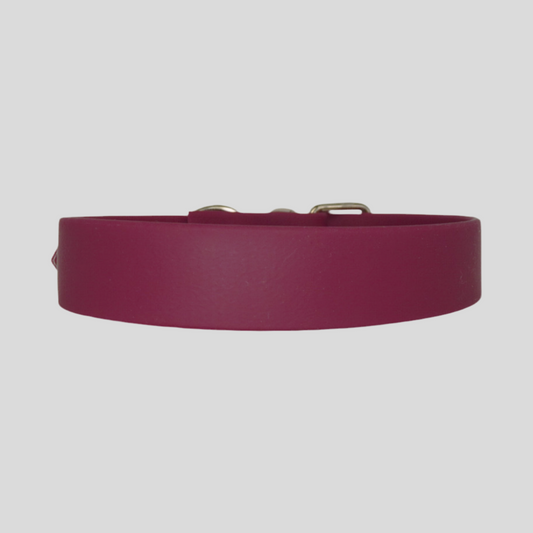 Collier imperméable pour chien Cranberry Crush