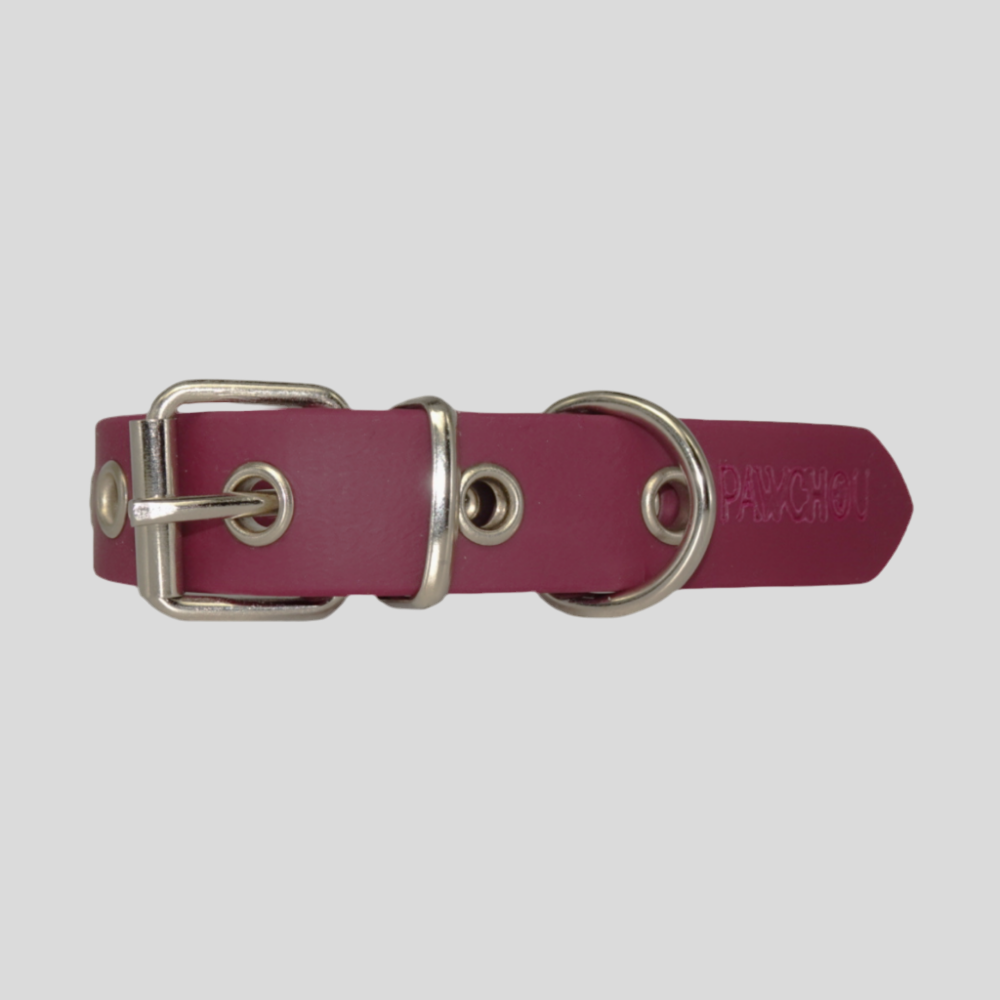 Collier imperméable pour chien Cranberry Crush
