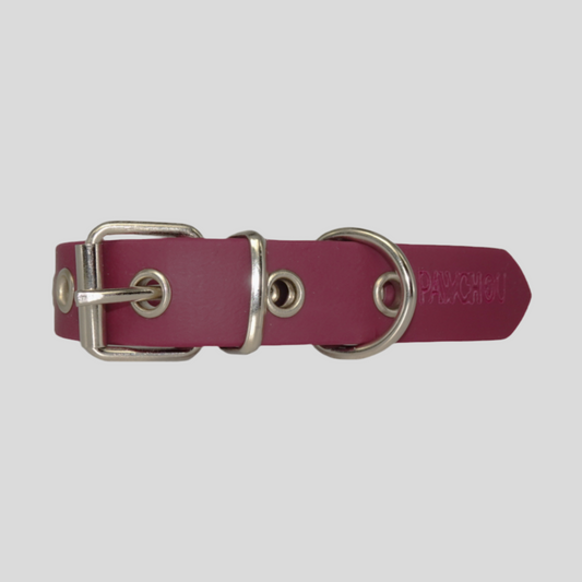 Collier imperméable pour chien Cranberry Crush