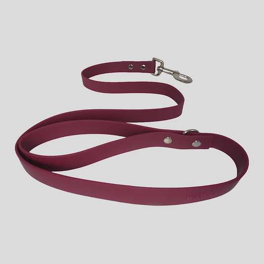 Laisse pour chien imperméable en Biothane couleur canneberge écrasante