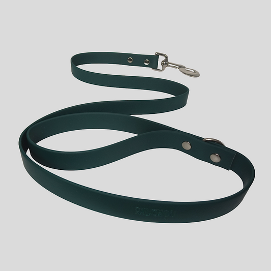 Laisse imperméable Matcha Dream pour chien