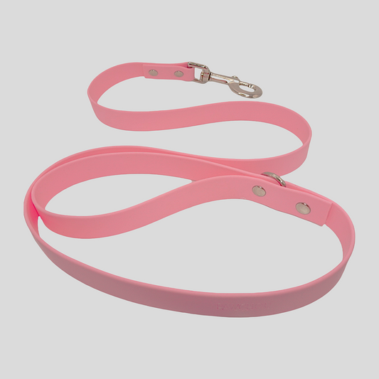 Laisse imperméable pour chien à motif pastèque sucrée