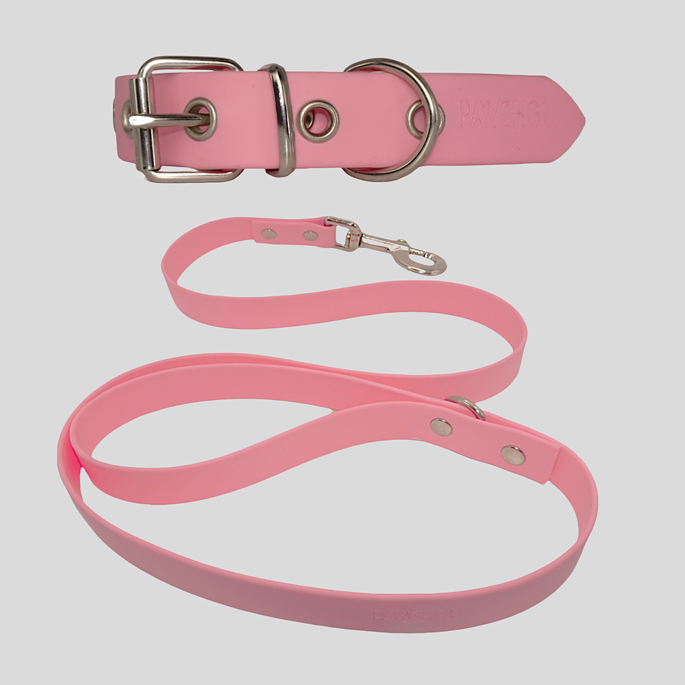 Coraill Collar and Lead Set