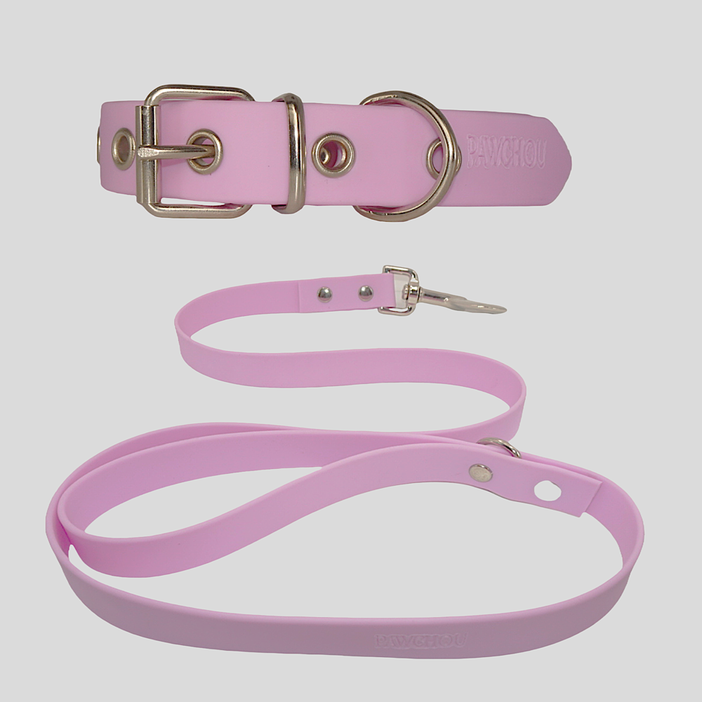 Bubble Collar and Lead Set