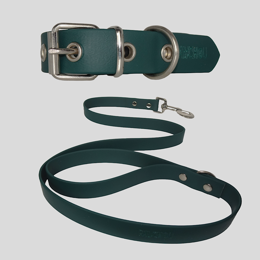Matcha Collar and Lead Set