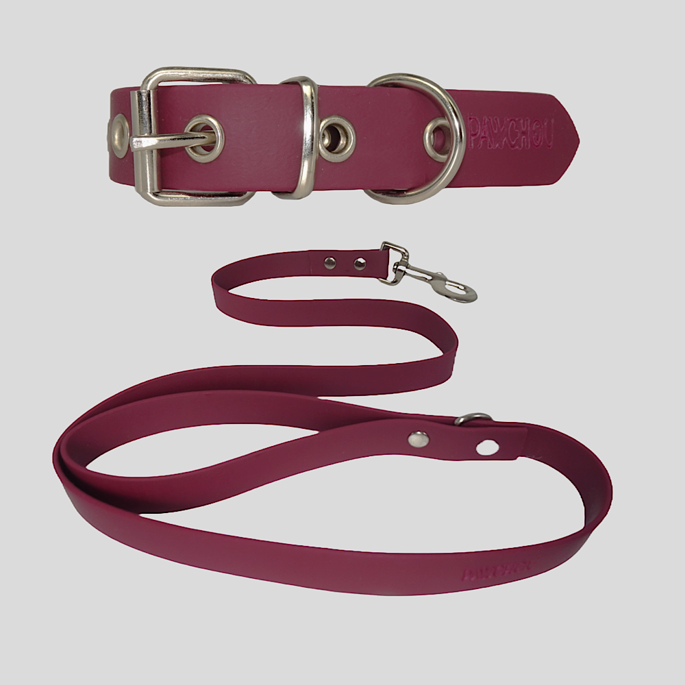 Cranberry Collar and Lead Set