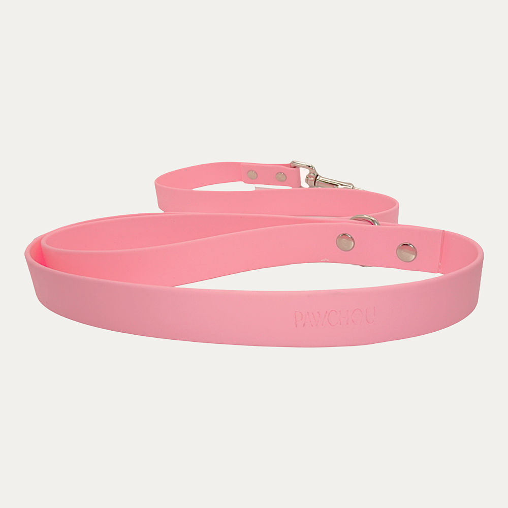 Laisse Corail - Biothane