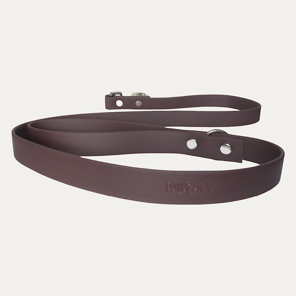 Laisse Caramel