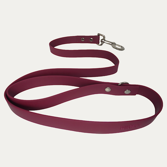 Laisse Cranberry