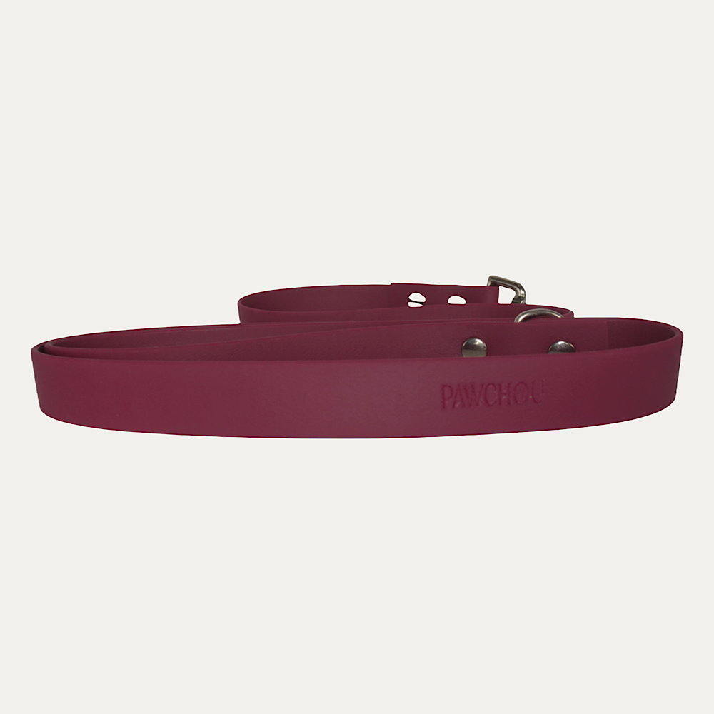 Laisse Cranberry
