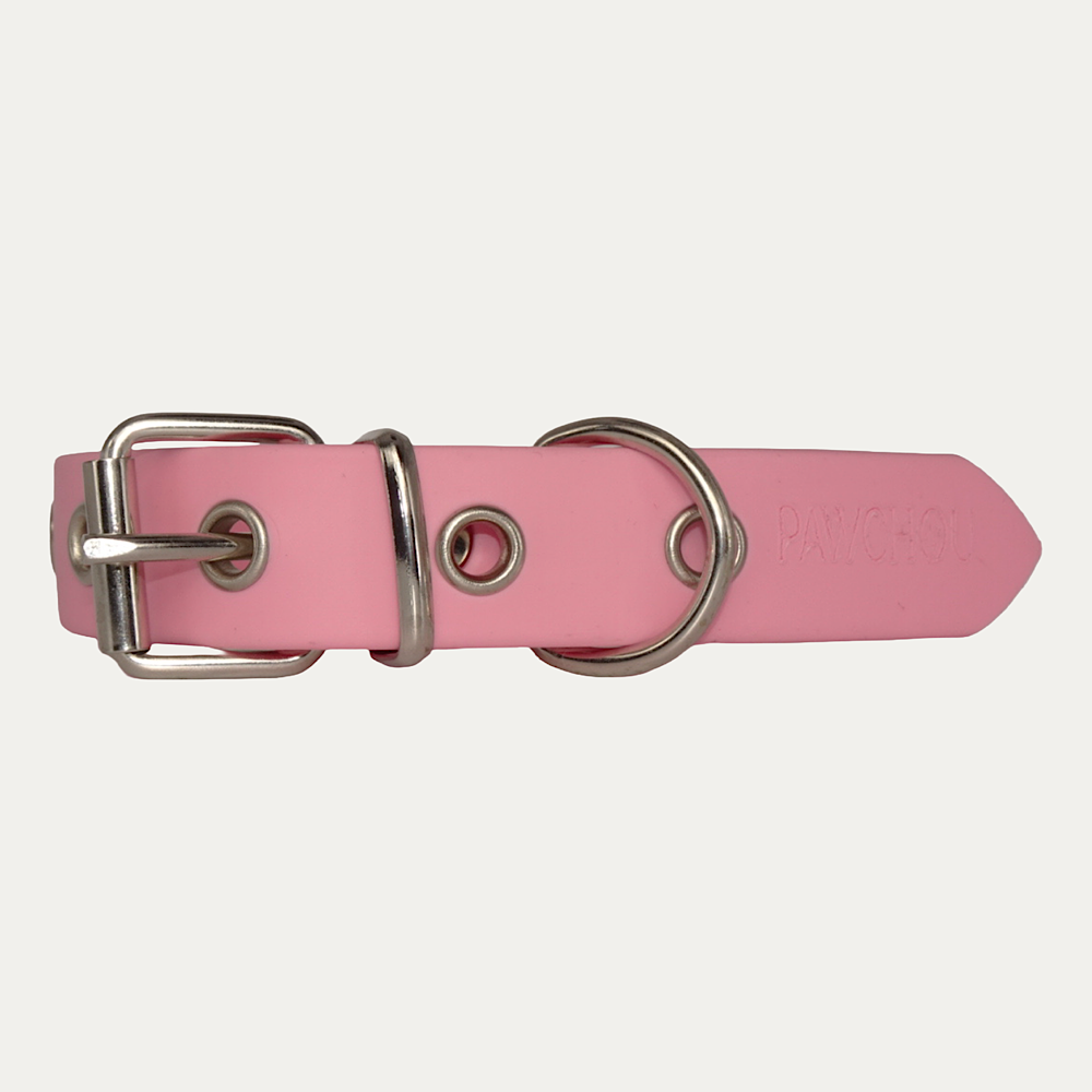 Collier Corail
