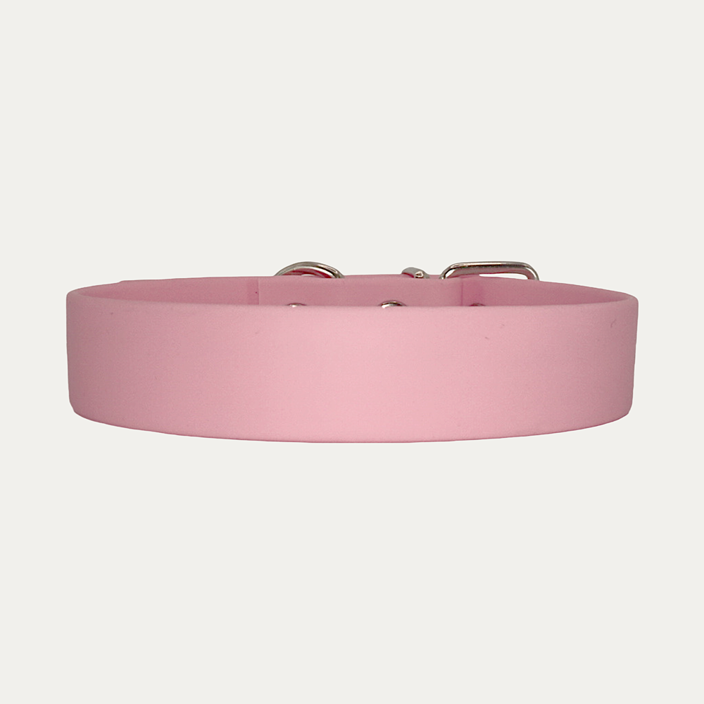 Collier Corail