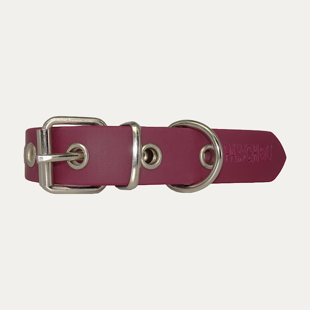 Ensemble Collier et Laisse Cranberry