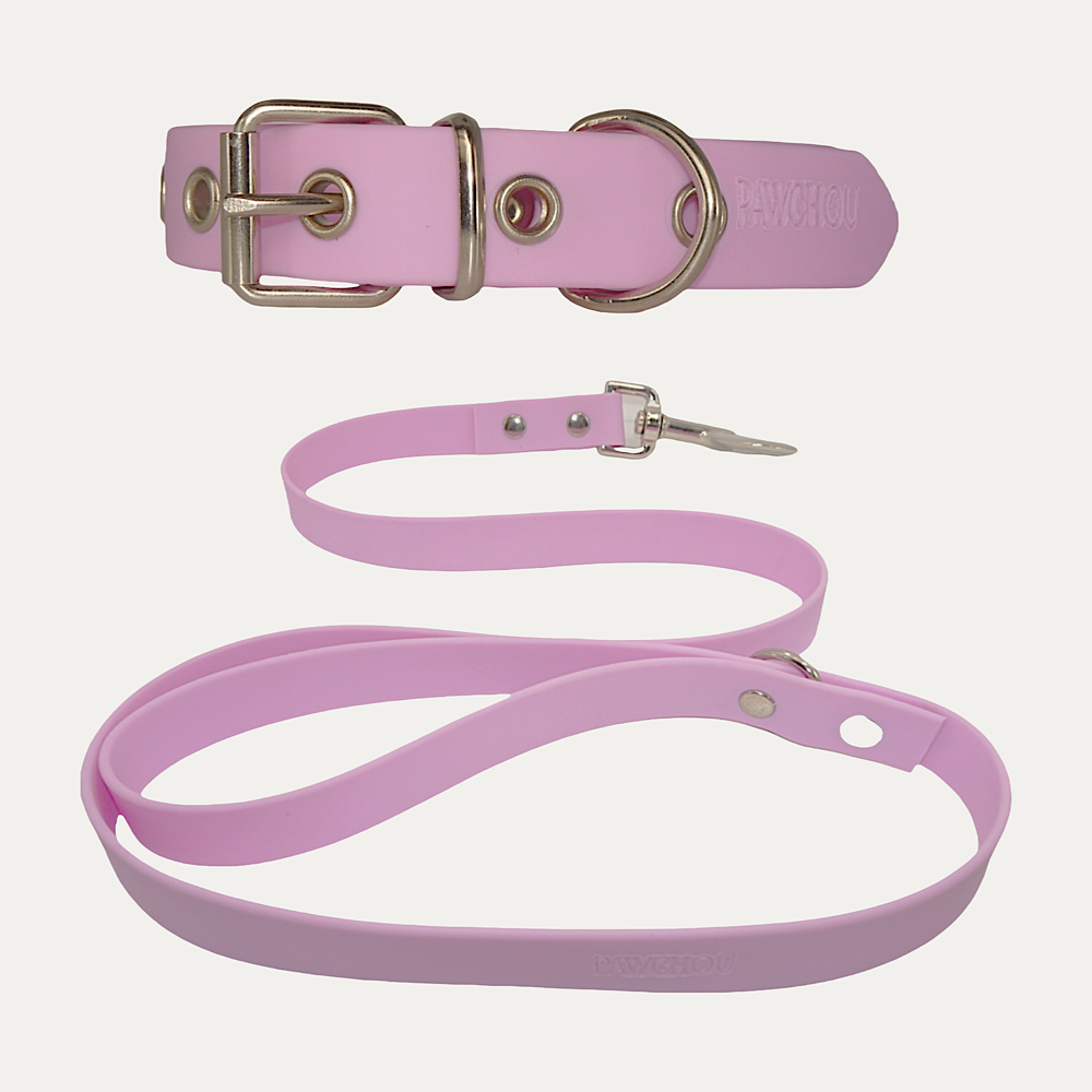 Ensemble Collier et Laisse Bubble