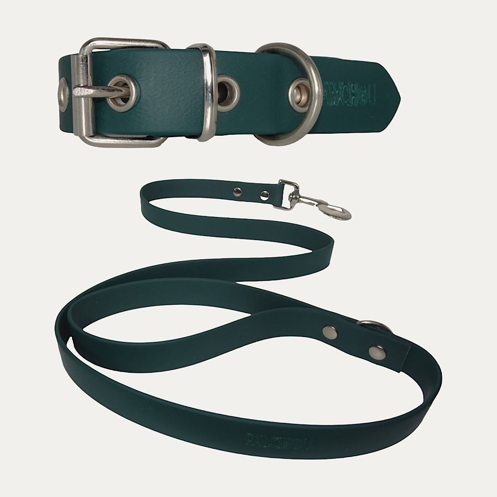 Ensemble Collier et Laisse Matcha