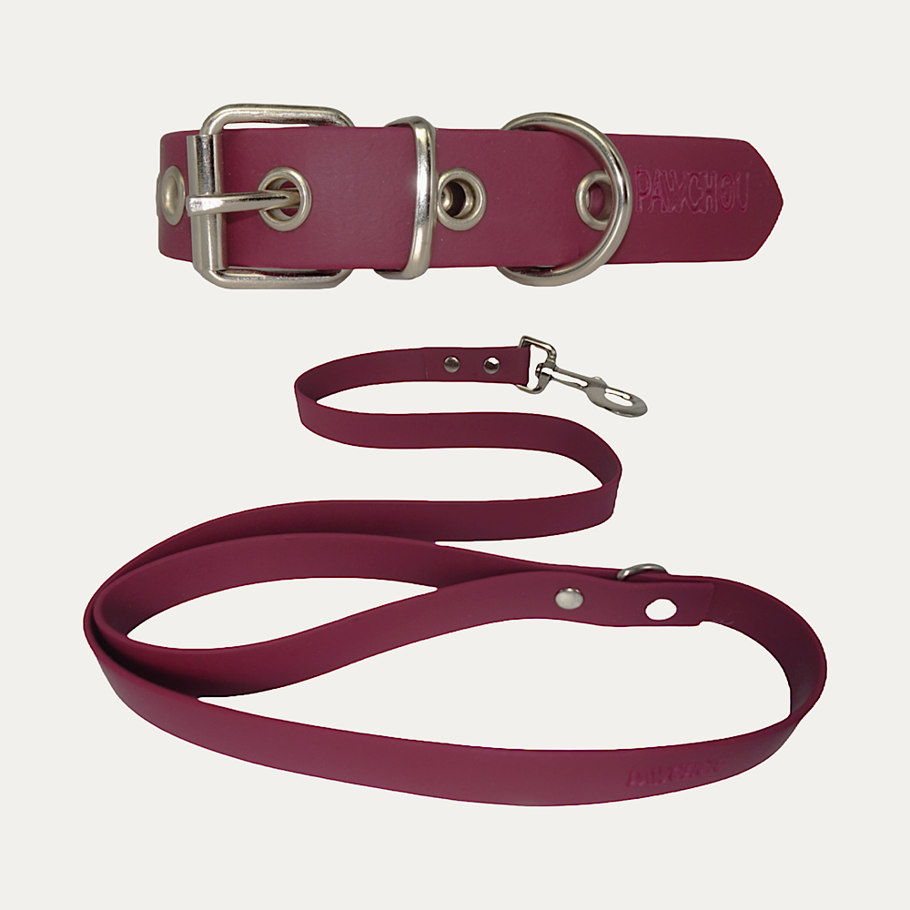 Ensemble Collier et Laisse Cranberry