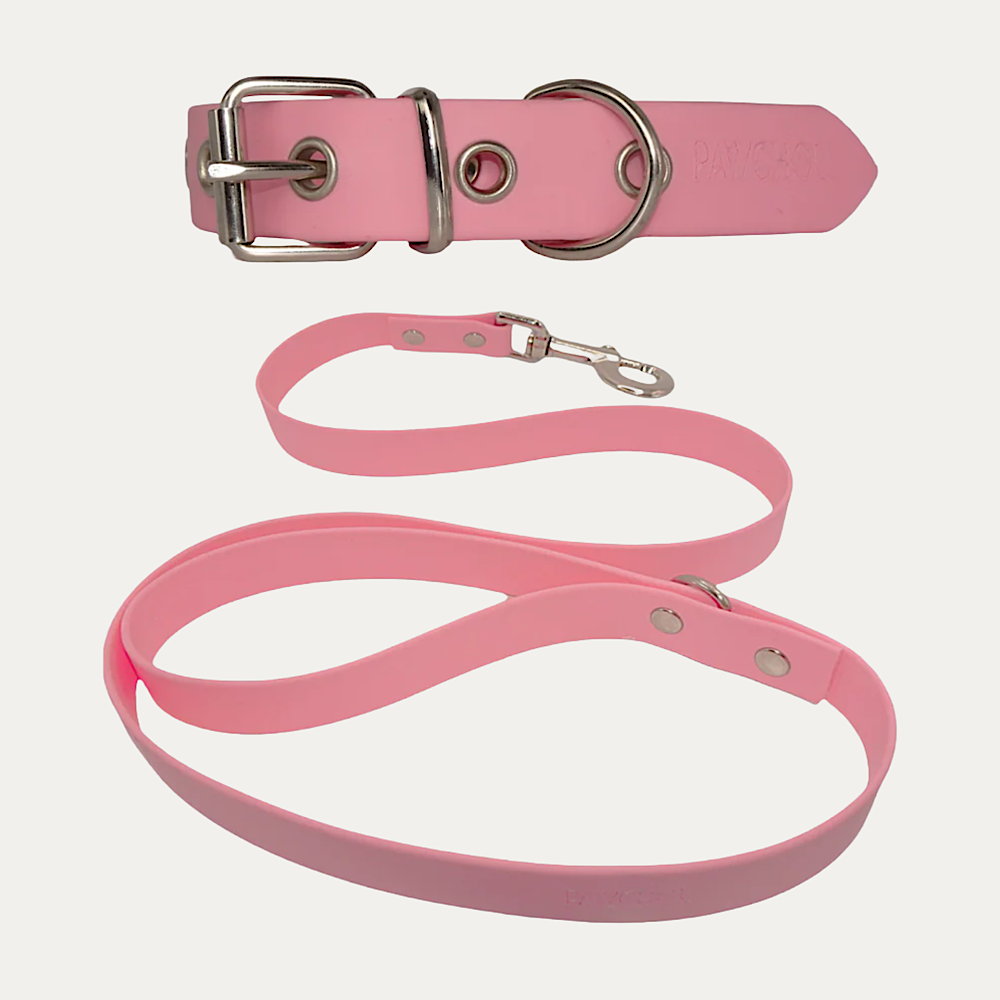 Ensemble Collier et Laisse Corail