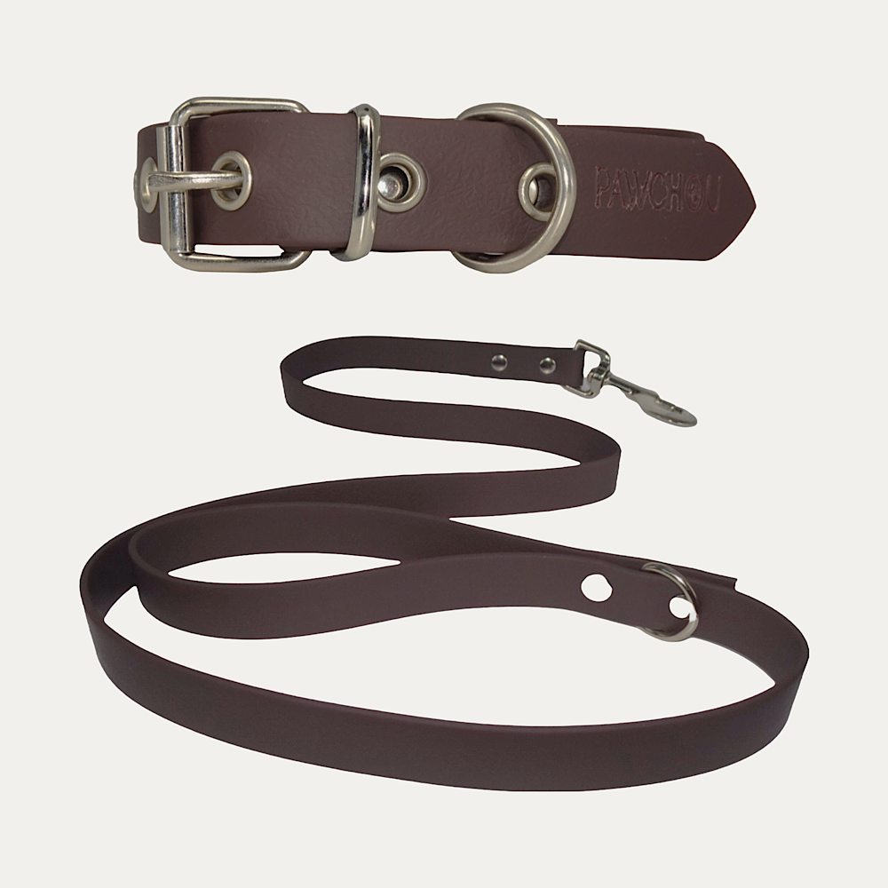 Ensemble Collier et Laisse Caramel